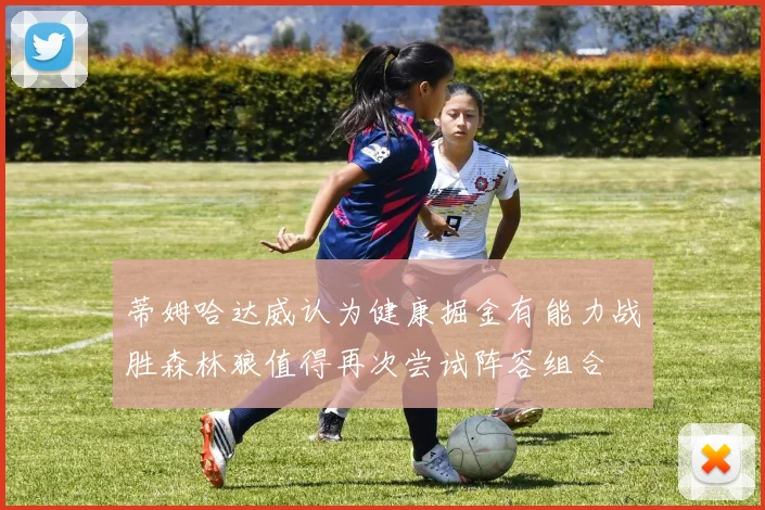 蒂姆哈达威认为健康掘金有能力战胜森林狼值得再次尝试阵容组合